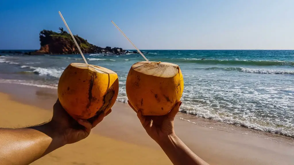 King Coconut Mirissa Beach - Sri Lanka King Coconut Mirissa Beach - Sri Lanka